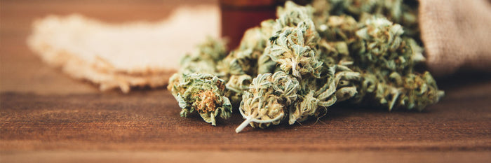 Trying CBD: What You Should Expect
