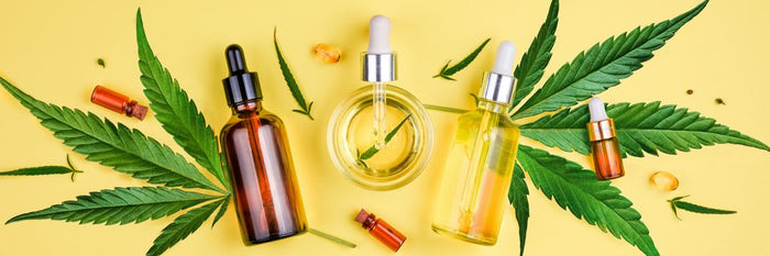CBD oil and hemp flower on yellow background