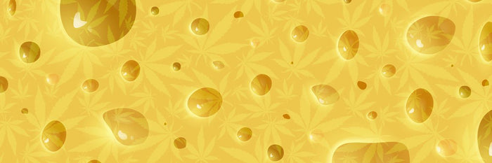 Vector pattern with Swiss cheese holes and marijuana leaves