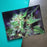 Blue Dream Glass Rollin' Tray - Toker Supply