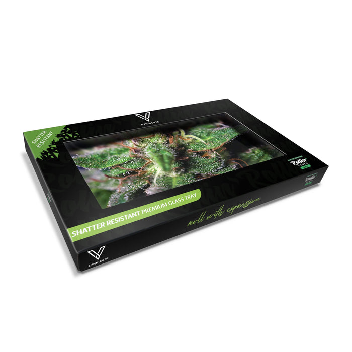 Blue Dream Glass Rollin' Tray - Toker Supply