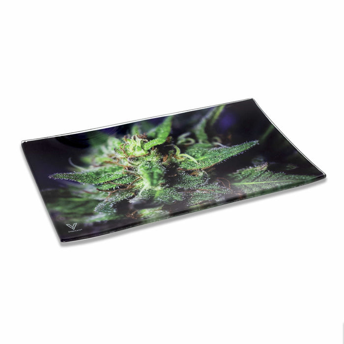 Blue Dream Glass Rollin' Tray - Toker Supply