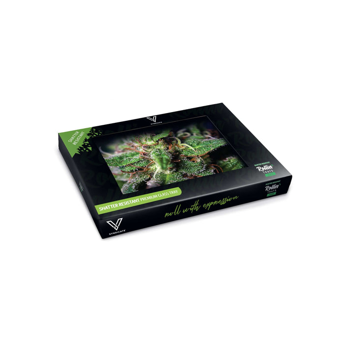 Blue Dream Glass Rollin' Tray - Toker Supply