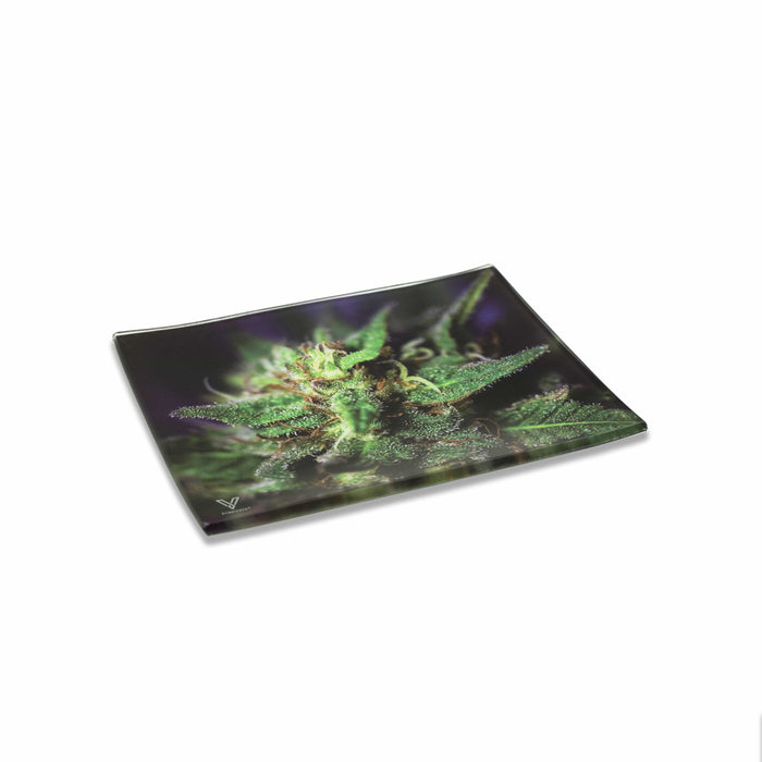 Blue Dream Glass Rollin' Tray - Toker Supply