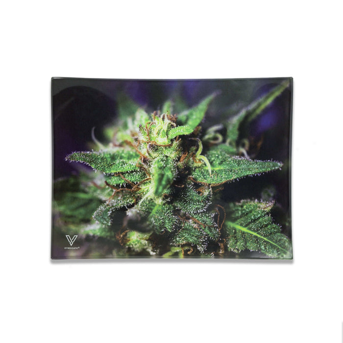 Blue Dream Glass Rollin' Tray - Toker Supply
