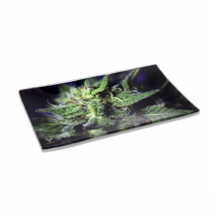 BLUE DREAM GLASS TRAY - Toker Supply