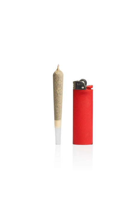 GRAV® Tall Kings Quartz Tip Cones - Toker Supply