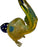 Ripkitty 5” Peacock Dry Herb Hand Pipe Borosilicate Glass - Colors May Vary - Toker Supply