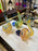 Ripkitty 5” Peacock Dry Herb Hand Pipe Borosilicate Glass - Colors May Vary - Toker Supply